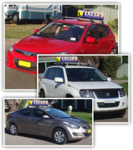 Teresas Driving School